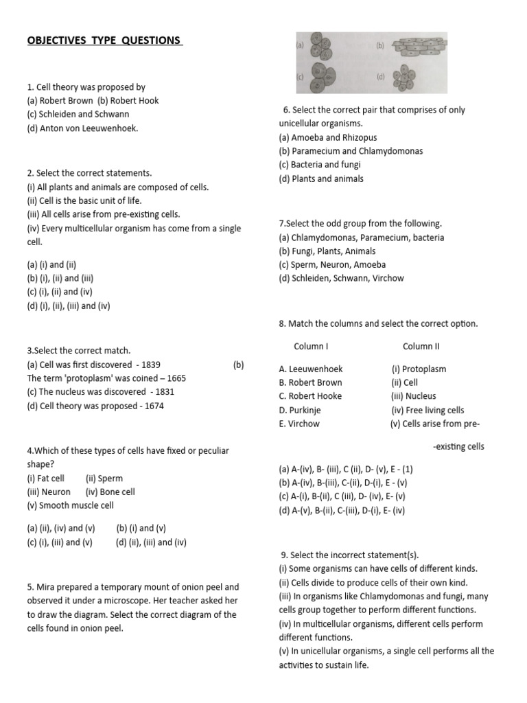 Cell Biology Quiz Questions and Answers | PDF | Endoplasmic Reticulum ...