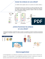 Estados de Agregaciã N de La Materia