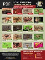 ASI Spiders-A3-Poster SOUTHERN-AFRICA ENG WEB