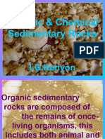 Organicchemicalsedimentaryrockssmall 120429074104 Phpapp01