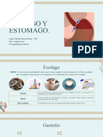 Esofago y Estomago
