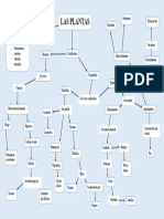 Mapa Conceptual de Las Plantas