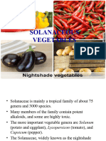 SOLANACEOUS VEGETABLES