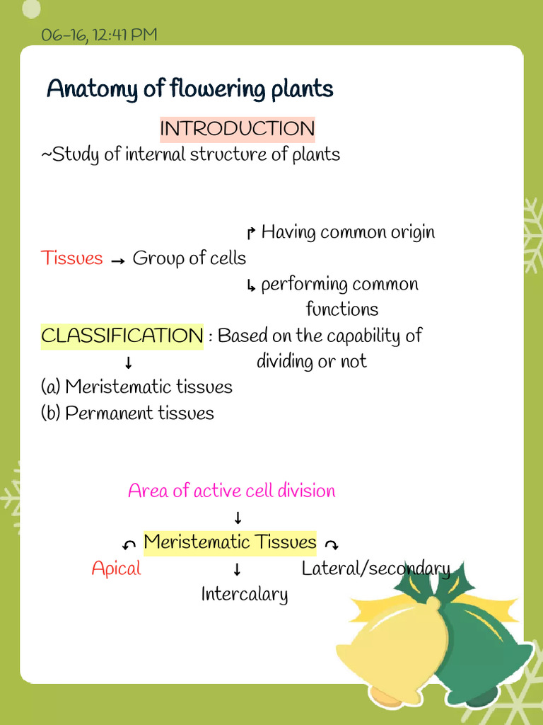 Anatomy of flowering plants Notes PDF Tissue (Biology) Plant Stem