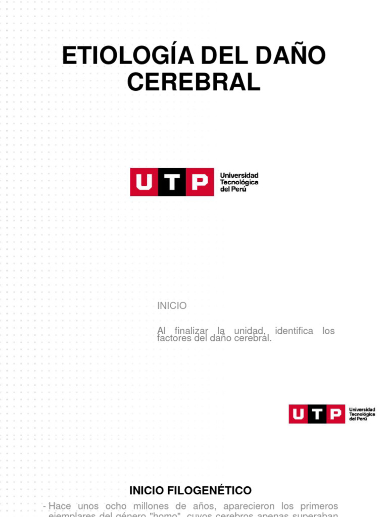 causas-y-tipos-de-da-o-cerebral-pdf-cerebro-medicina-clinica