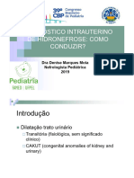 aDiagnostico_intrauterino_de_hidronefrose_-_como_conduzir