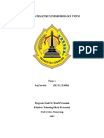 Praktikum Mikrobiologi Isqi Savitri D.131.21.0036