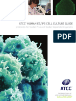 ATCC HUMAN ES and iPSC Cell Culture Guide