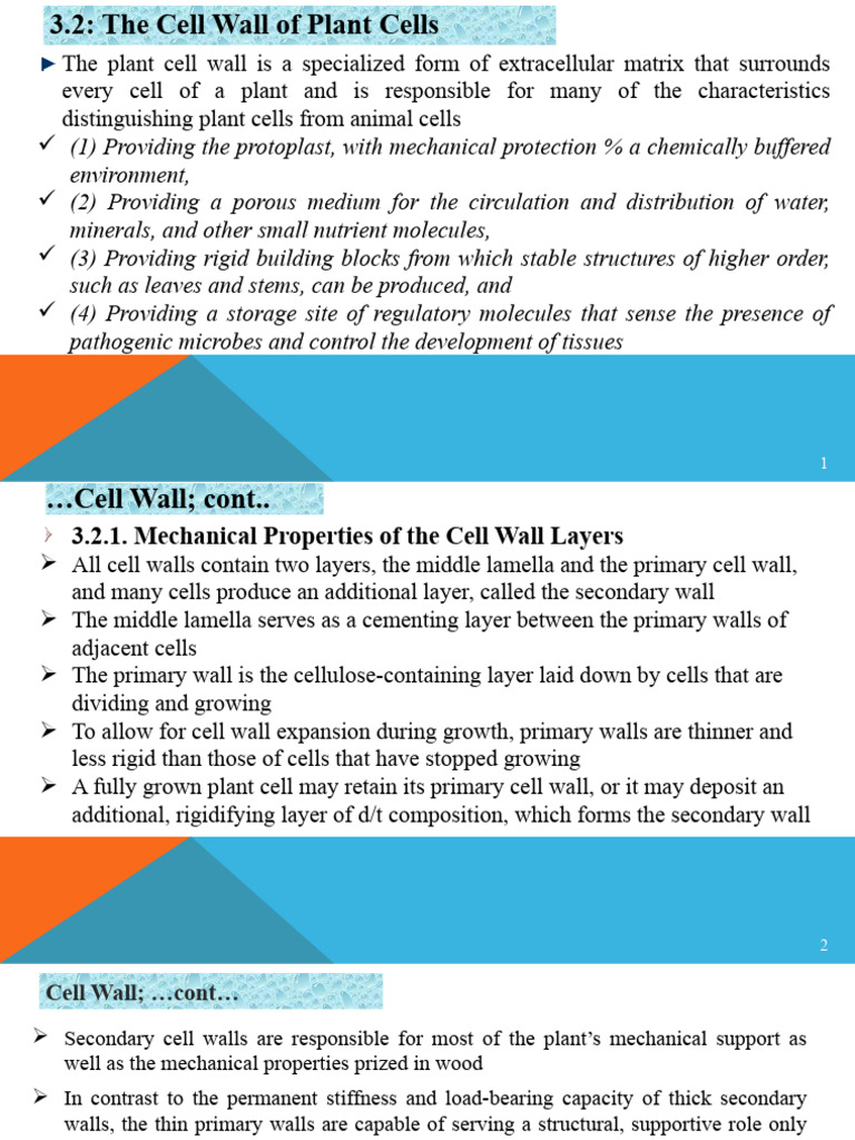 Cell Biology Lecture V | PDF | Cell Membrane | Cell Wall