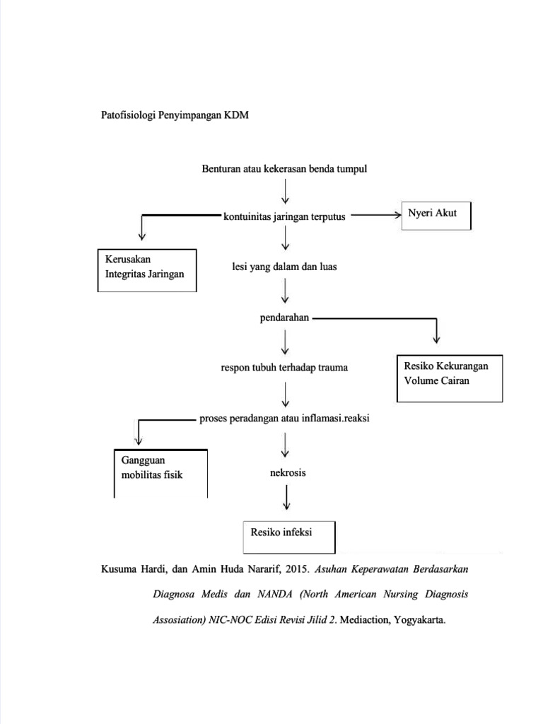 pdf-pathway-vulnus-laceratum-compress-pdf