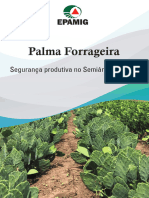 Palma Forrageira Segurança Produtiva No Semiárido Mineiro