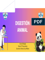 Digestión Animal 3° Secundaria