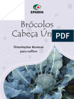 Brócolis Cabeça Única