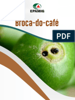 Broca Do Café