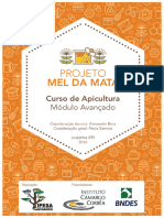 Apostila Mel Da Mata Modulo Avancado