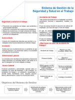 6.6 Manual de Inducción SST - CGP