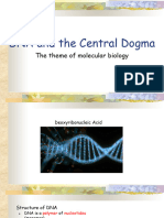 Central Dogma