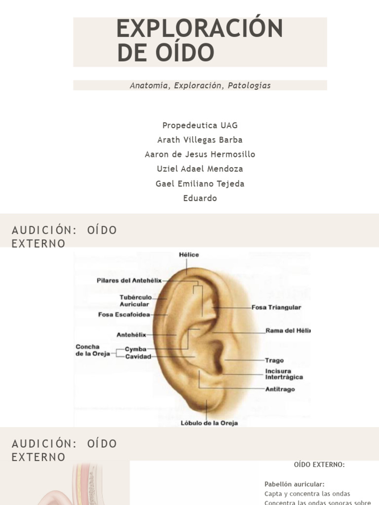 Exploración de Oido | PDF | Oído | Escuchando