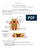 ENDODONCIA 1