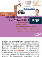 Bacterias Gram + Clostridium, Bacillus y Corynebacterium