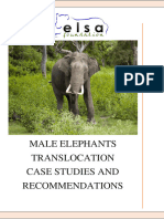 Male Elephant Translocation Best Practices 29 Sep 23
