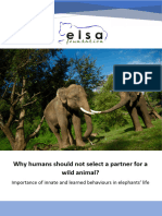 Elsa-Elephants-Partner-Selection-14-Sep-22