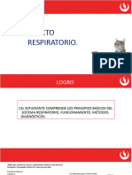 S11 Respiratorio