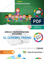 MÃ Dulo 1 - Clase 5 - Tres Cerebros PDF