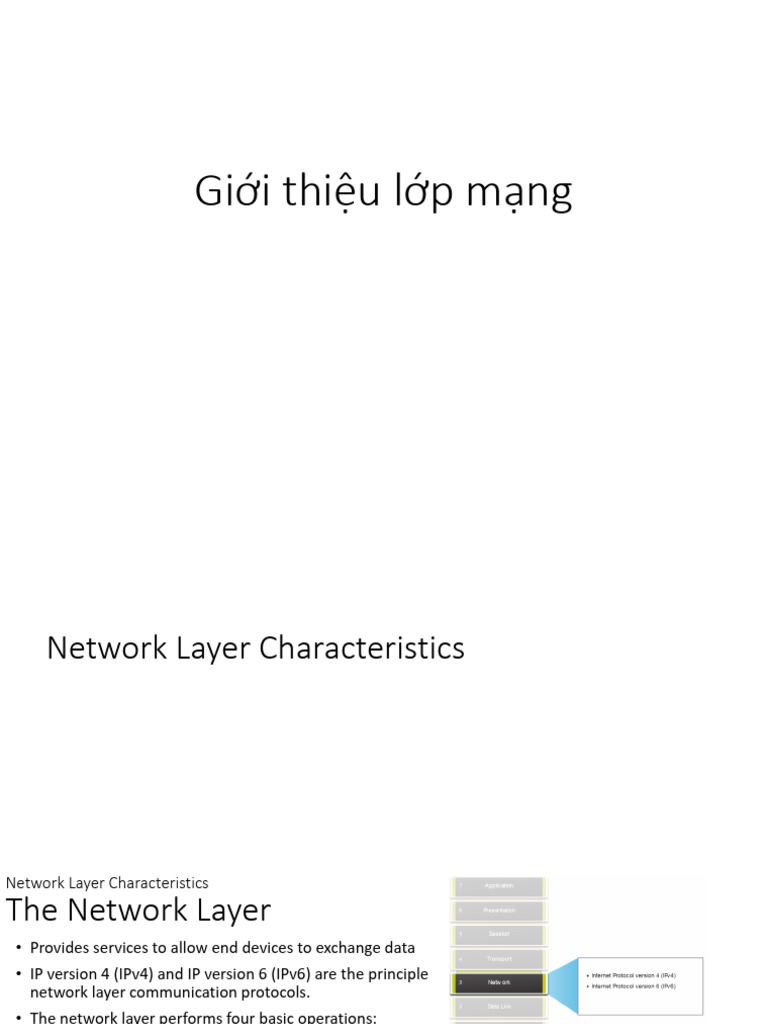 Network Layer Protocols Overview | PDF | Internet Protocols | I Pv6
