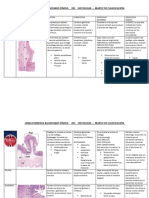 Tabla Sitema Digestivo Histologia