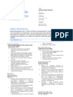 Currículum Ing - JeiraPalacios TELECOMUNICACIONES