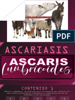 ASCARIASIS y Su Ciclo de Vida