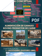 Alimentacion de Bovino Productor de Carne