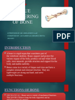 Bone Engineering