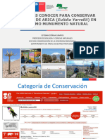 Conservación para El Picaflor de Arica