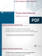 CM-6100-WK1-J-Pituitary Histology