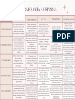 Cuadro Comparativo Aparatología Camila Suárez - 20240404 - 094750 - 0000