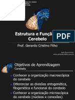 4 Estrutura e Funcao Do Cerebelo