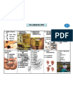 58 Langkah Apn Revisi