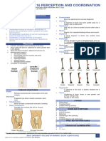 4 Injuries PDF