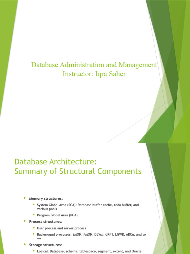 Oracle Database Administration Overview | PDF | Databases | Computer File