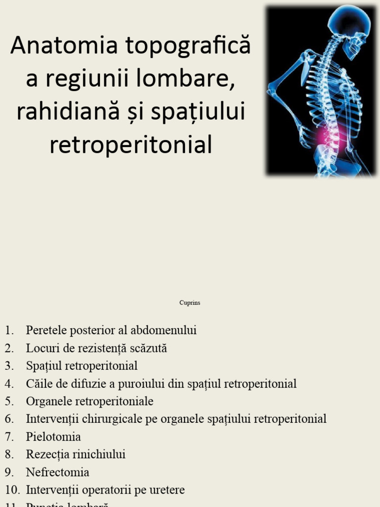 Anatomia Topografică A Regiunii Lombare,.1 | PDF