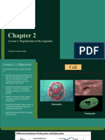 Chapter 2 Lesson 1 Cell Structure and Organization