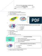 El microscopio