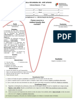 AP Vgowin Meteorização.