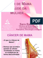 Palestra Câncer de Mama