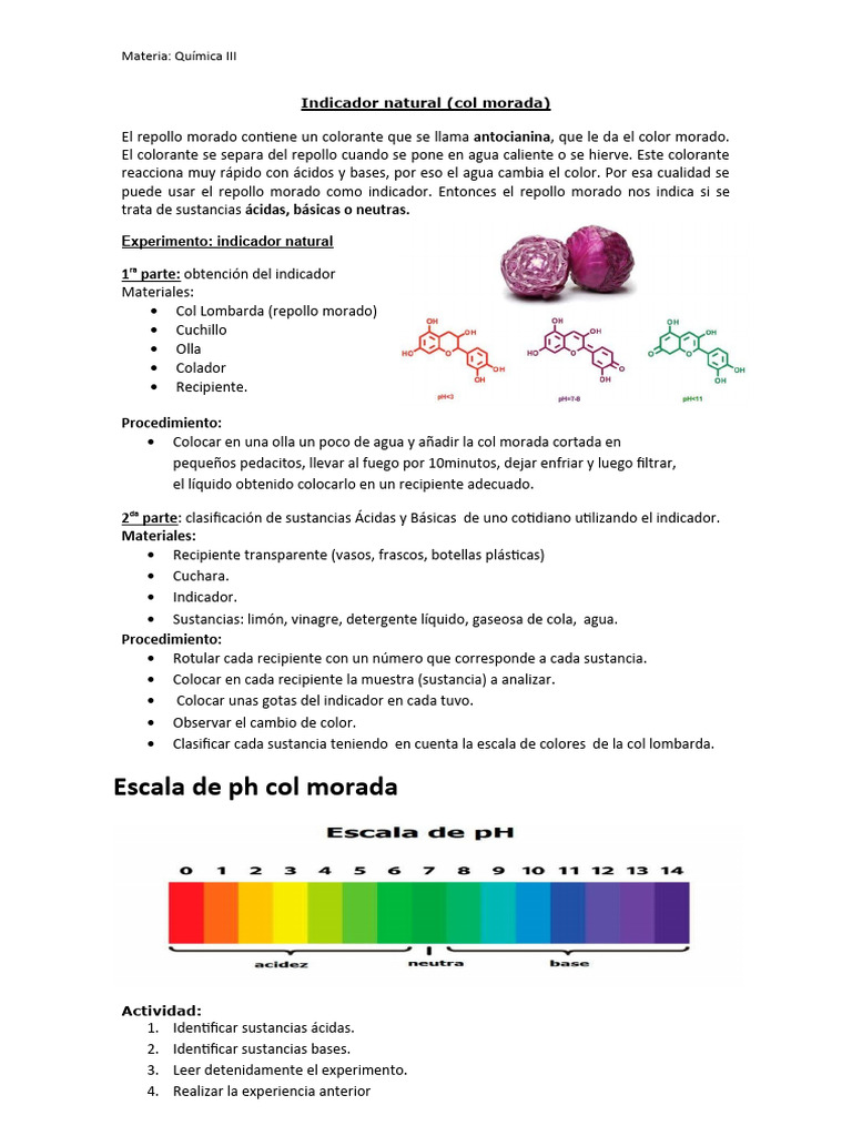 Experimento de pH con col morada | PDF | Cocina, comidas y vino | Arte