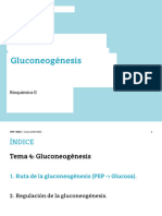 Tema 4 - Gluconeogénesis