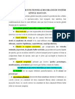 Morphologie Fonctionnelle Des Organes Du Système Génital Masculin