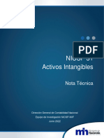 NOTA TECNICA NICSP-31 Activos Intangibles Junio 2022